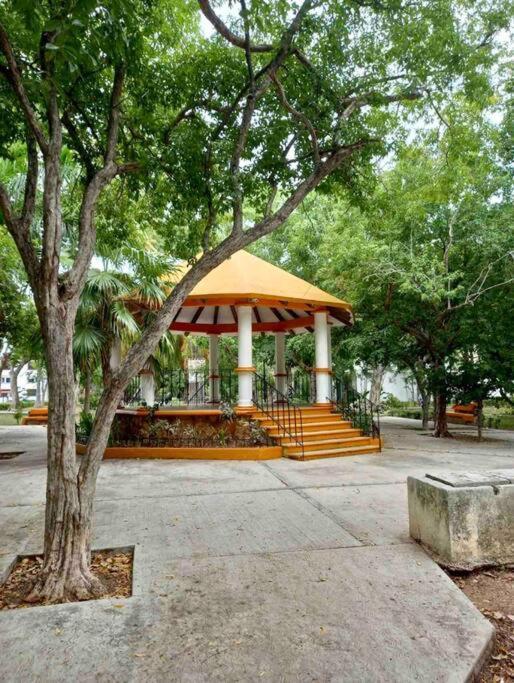 הוילה קנקון Beautiful Jungle House On A Strategic Location מראה חיצוני תמונה