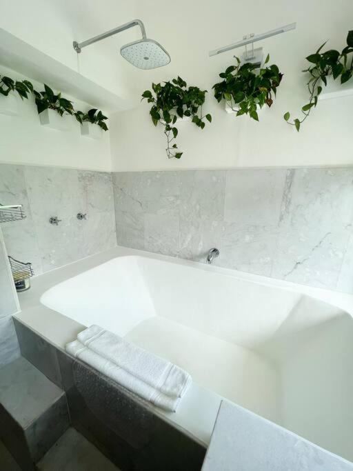 הוילה קנקון Beautiful Jungle House On A Strategic Location מראה חיצוני תמונה